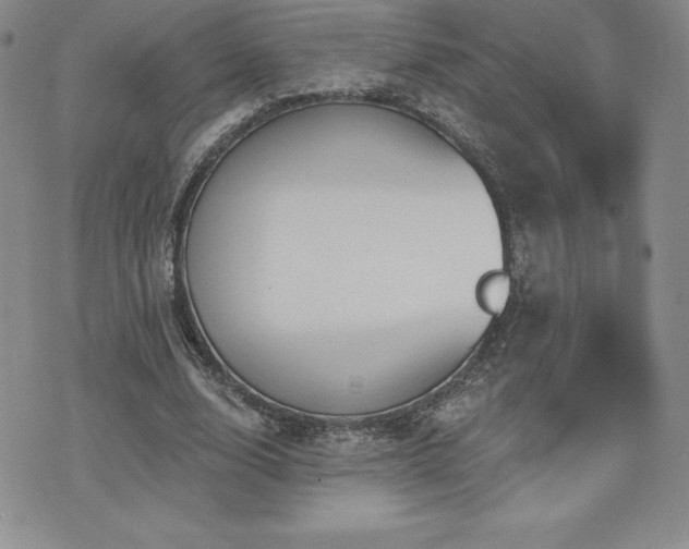 X0000071960632200607071453