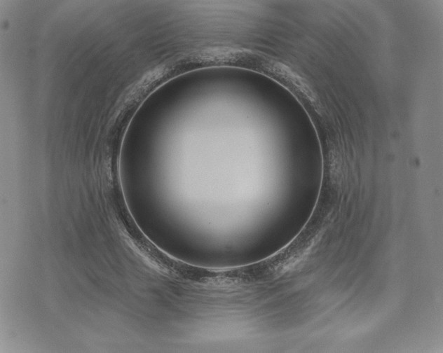 X0000071960633200607071453