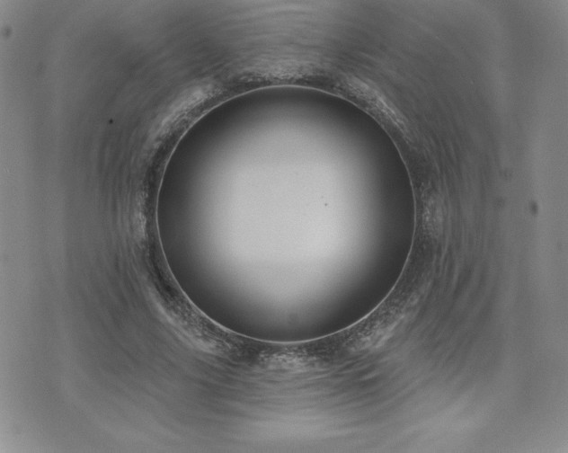 X0000071960635200607071453