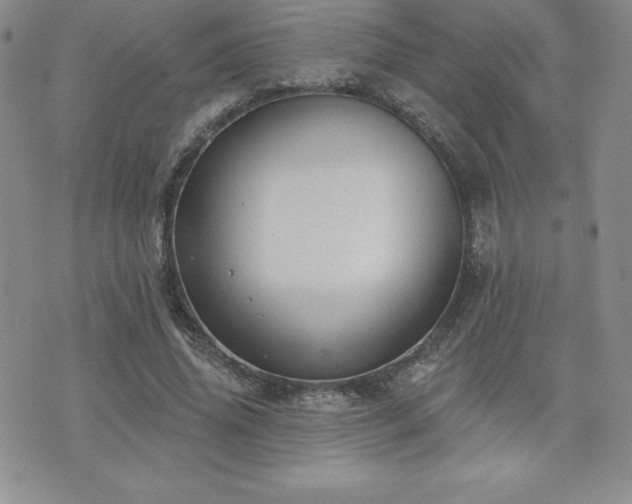 X0000071960636200607071453