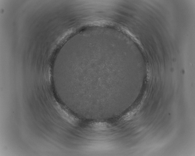 X0000071960637200607071453