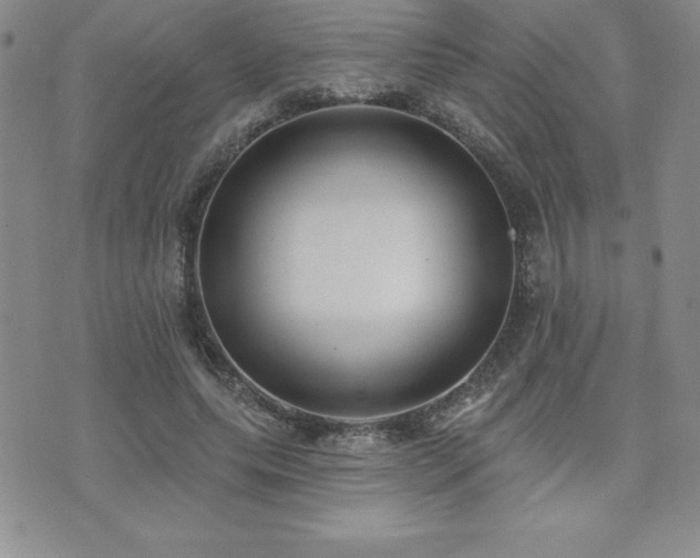 X0000071960639200607071453