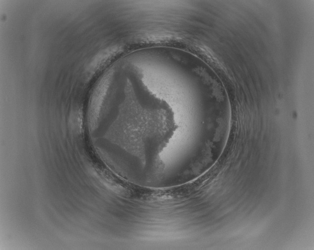 X0000071960640200607071453