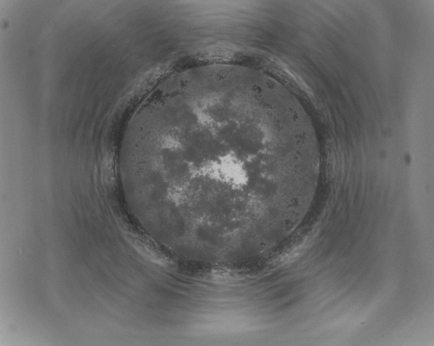 X0000071960641200607071453