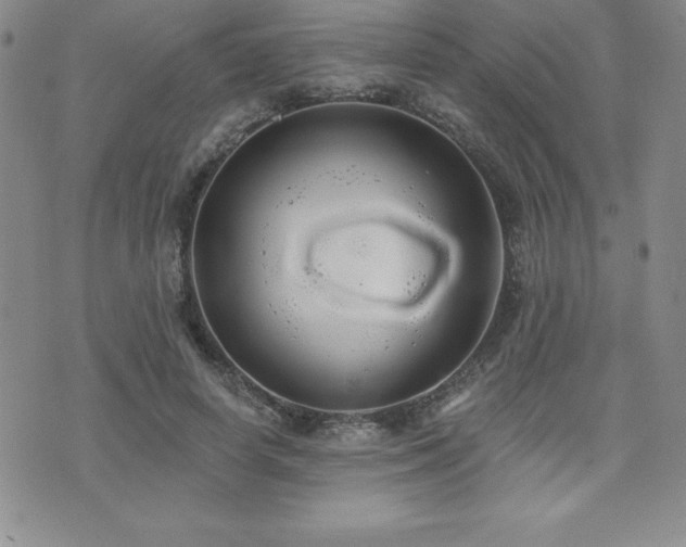 X0000071960642200607071453