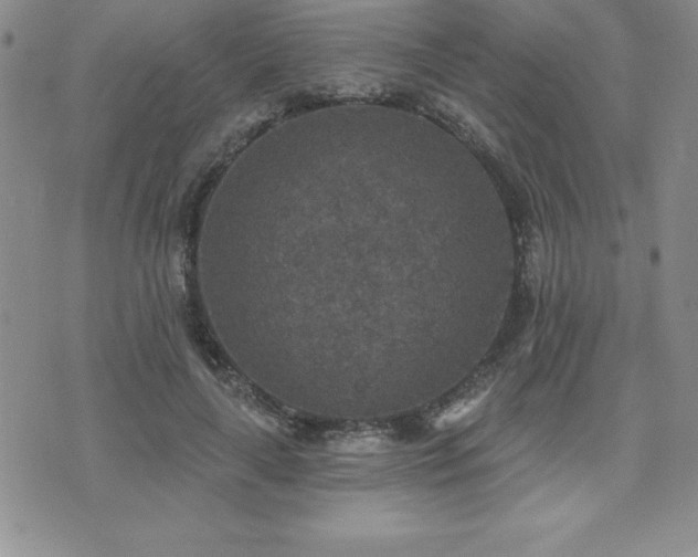 X0000071960643200607071453