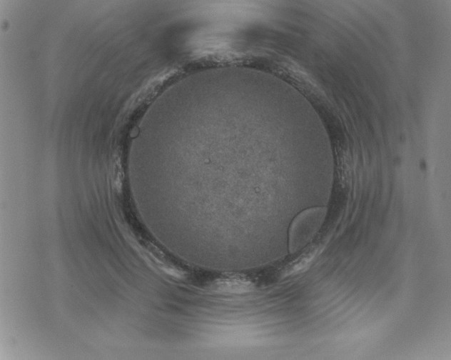 X0000071960644200607071454