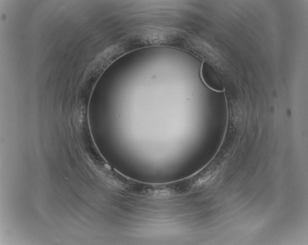 X0000071960645200607071454