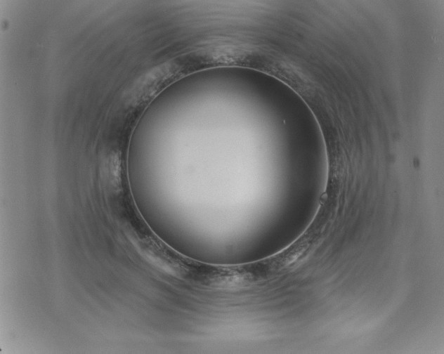 X0000071960646200607071454