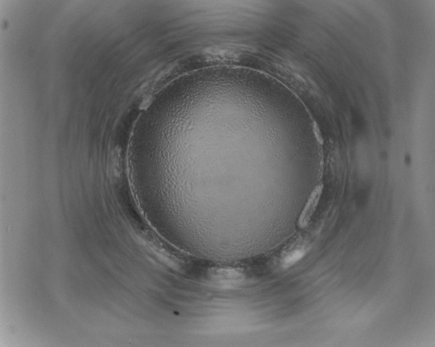 X0000071960649200607071454