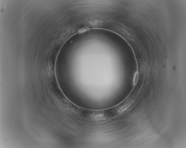 X0000071960651200607071454