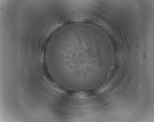 X0000071960652200607071454