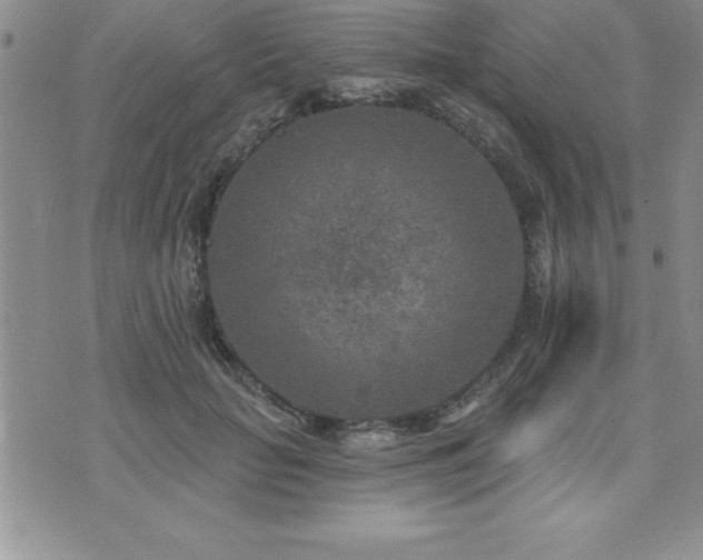 X0000071960653200607071454