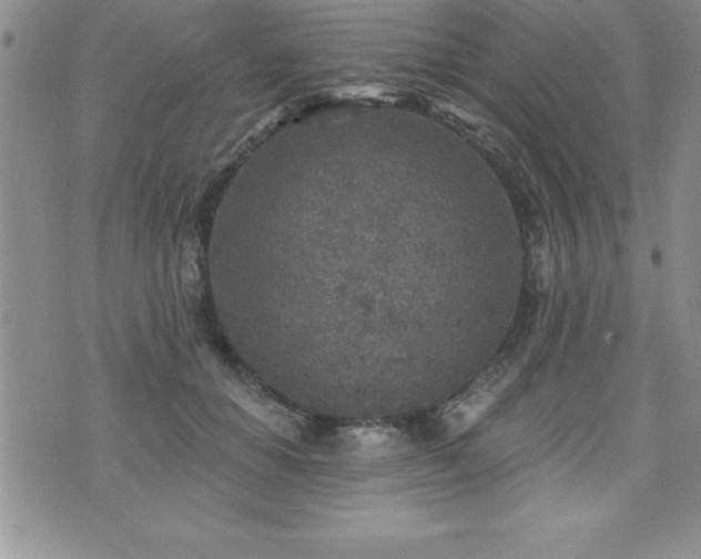 X0000071960654200607071454