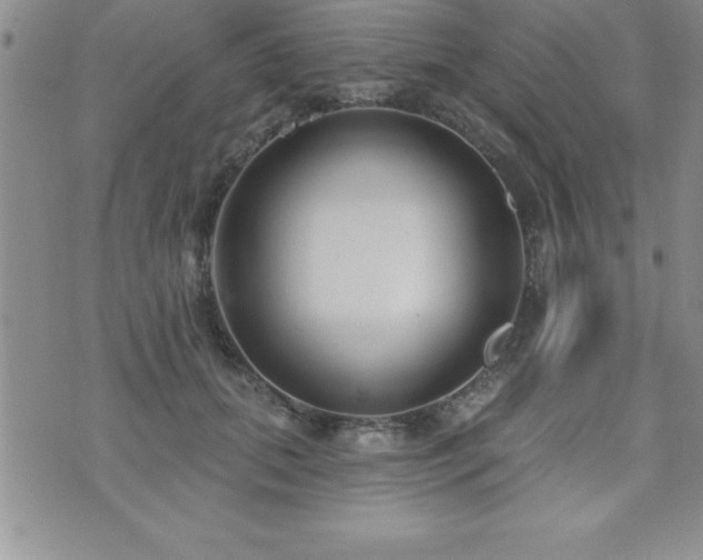 X0000071960655200607071454