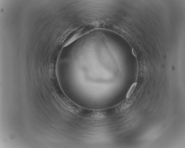 X0000071960656200607071454