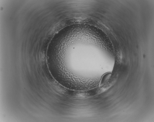 X0000071960657200607071454