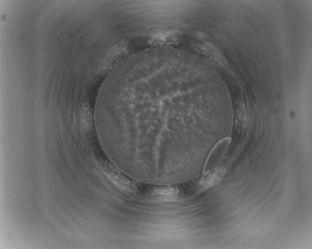 X0000071960659200607071454