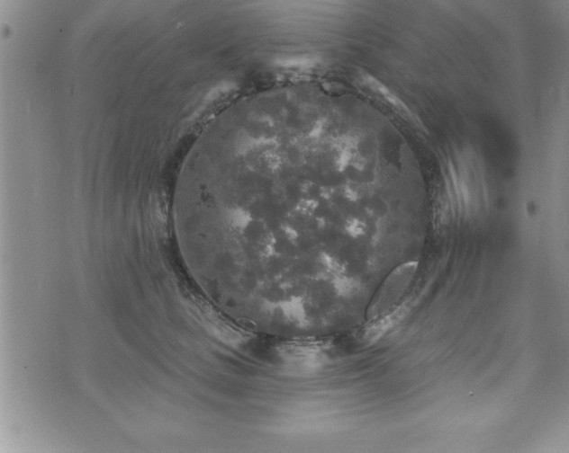 X0000071960661200607071454