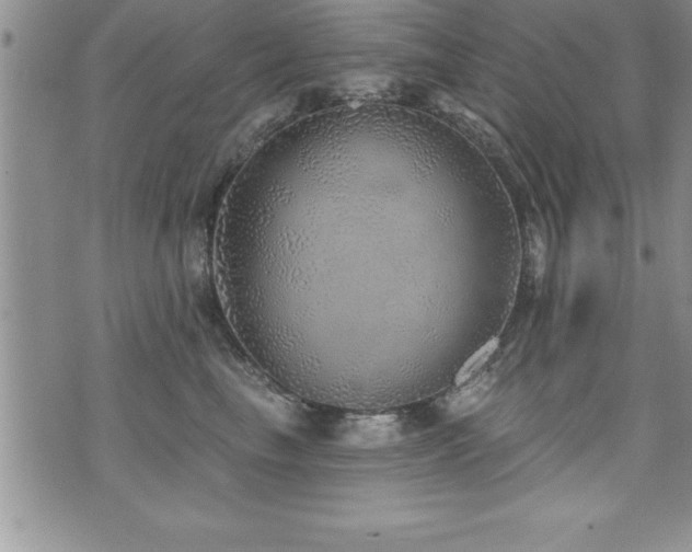 X0000071960665200607071454