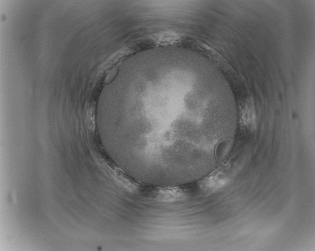 X0000071960666200607071454