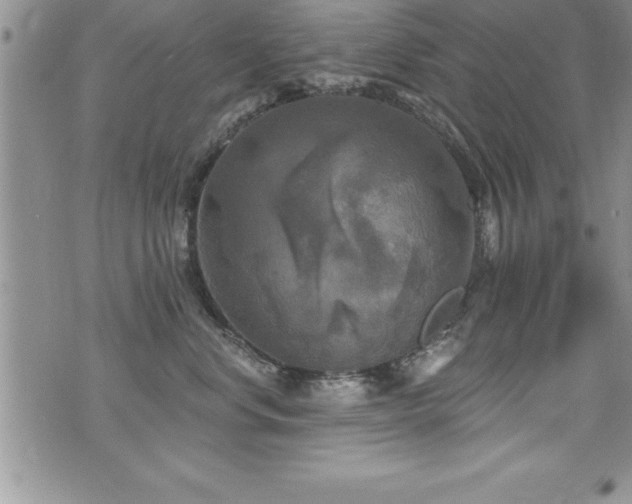 X0000071960668200607071454