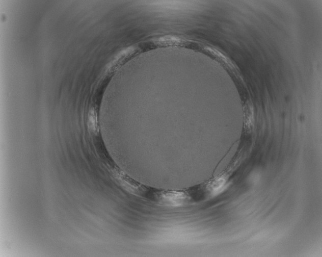 X0000071960669200607071454