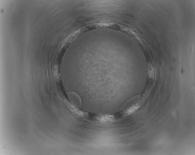 X0000071960670200607071454