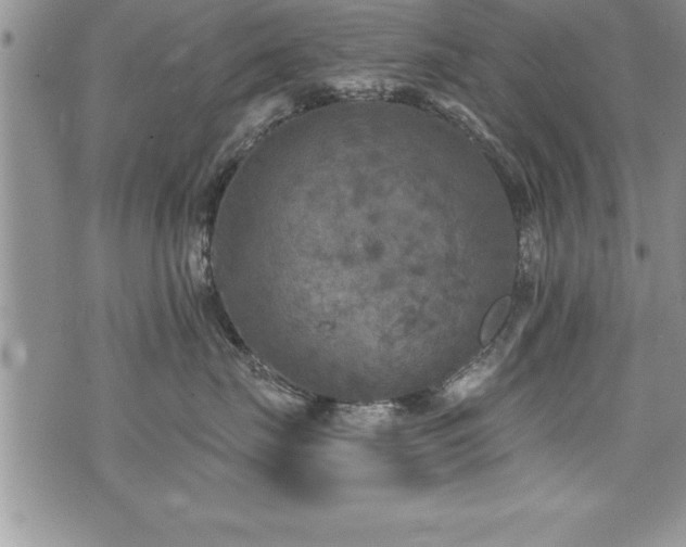 X0000071960671200607071454