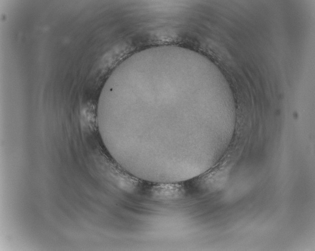 X0000071960672200607071454