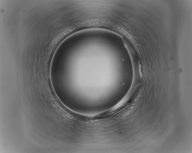 X0000071960673200607071453