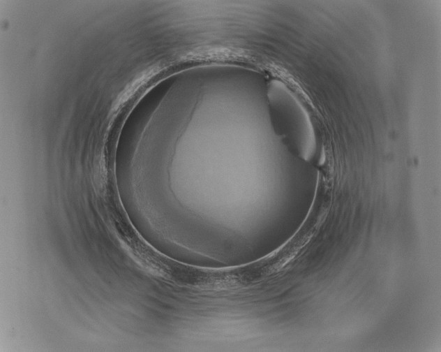 X0000071960674200607071453