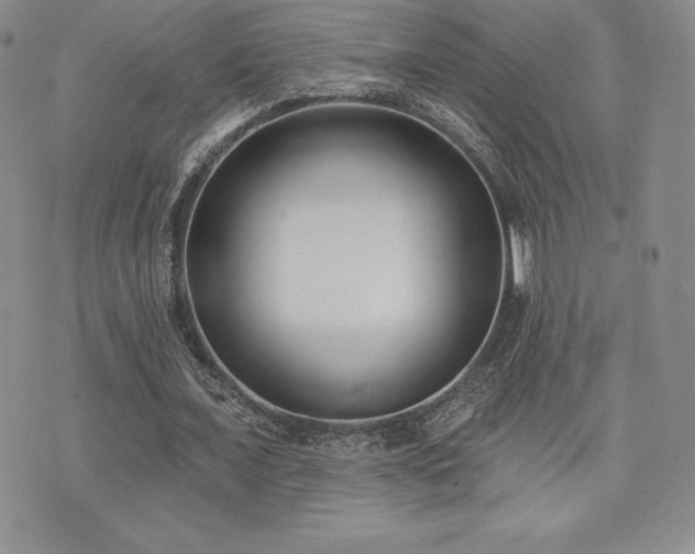 X0000071960675200607071453