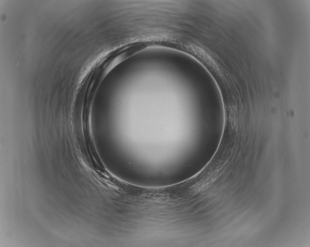 X0000071960676200607071453