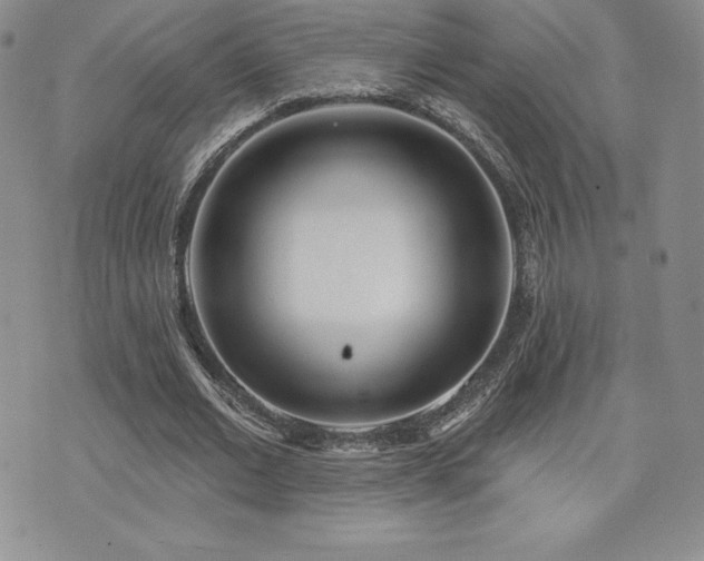 X0000071960677200607071453