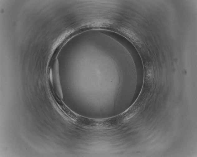 X0000071960678200607071453