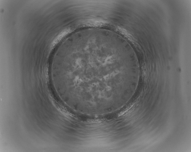 X0000071960679200607071453