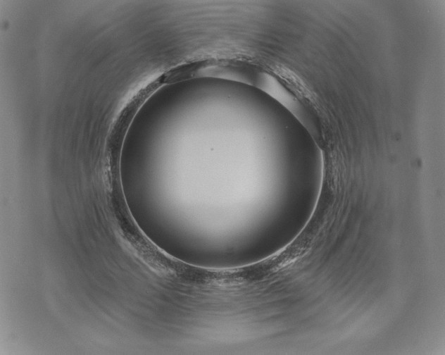 X0000071960680200607071453