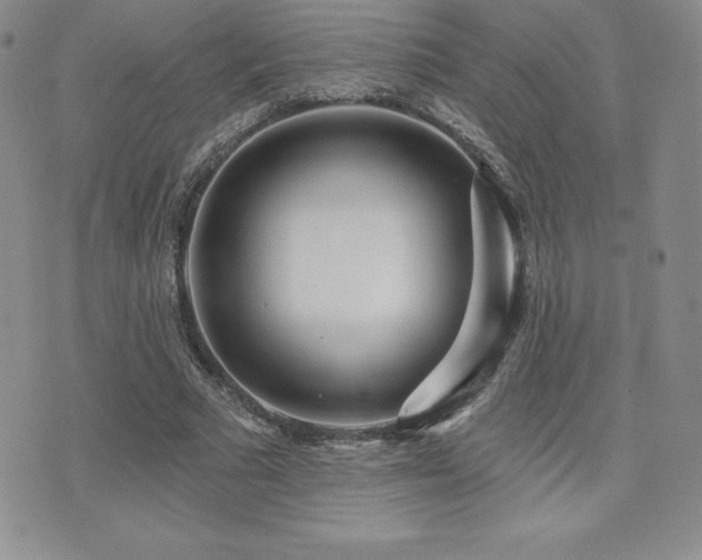 X0000071960681200607071453