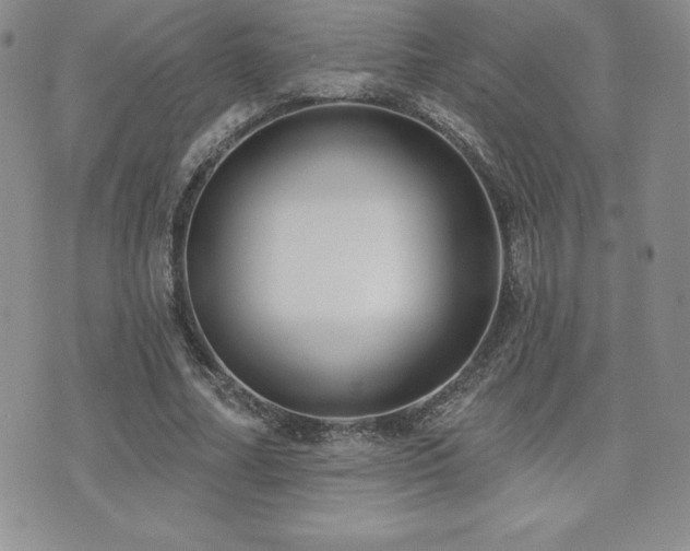 X0000071960682200607071453