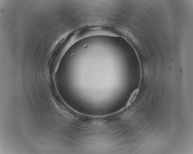 X0000071960684200607071453