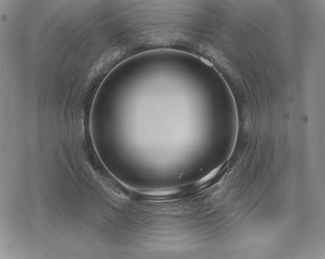 X0000071960685200607071453