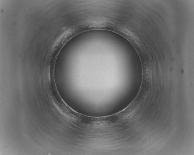 X0000071960686200607071453