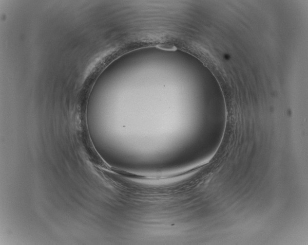 X0000071960688200607071453