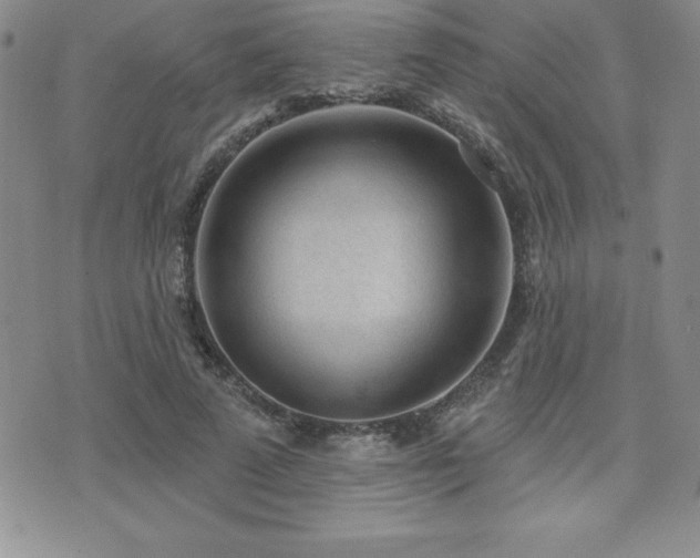 X0000071960689200607071453