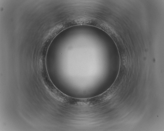 X0000071960690200607071453