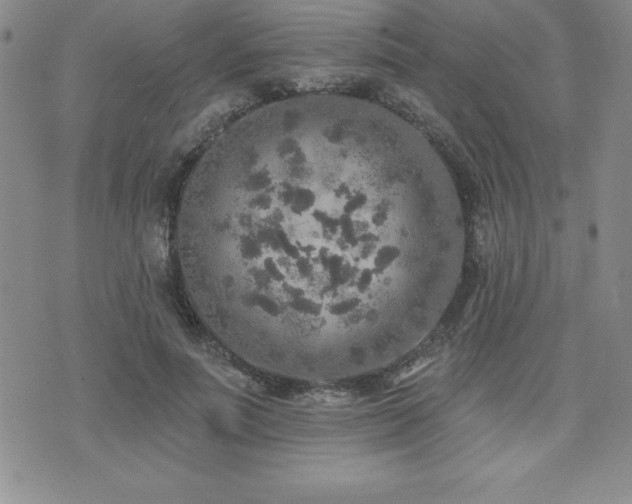 X0000071960691200607071453