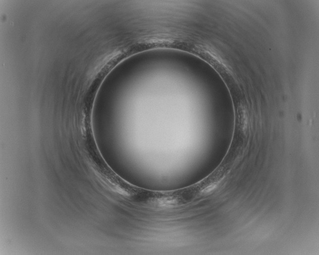 X0000071960692200607071453