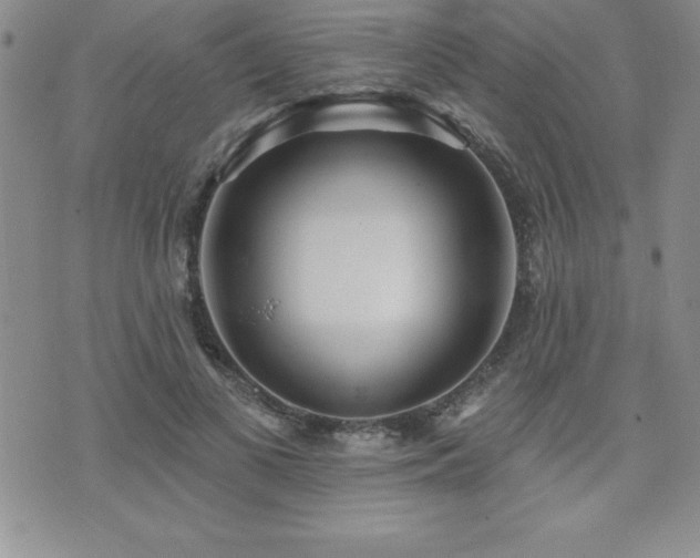 X0000071960693200607071453