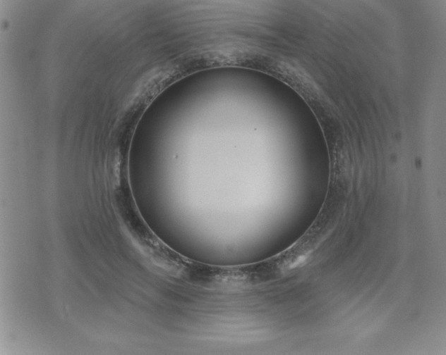 X0000071960694200607071453